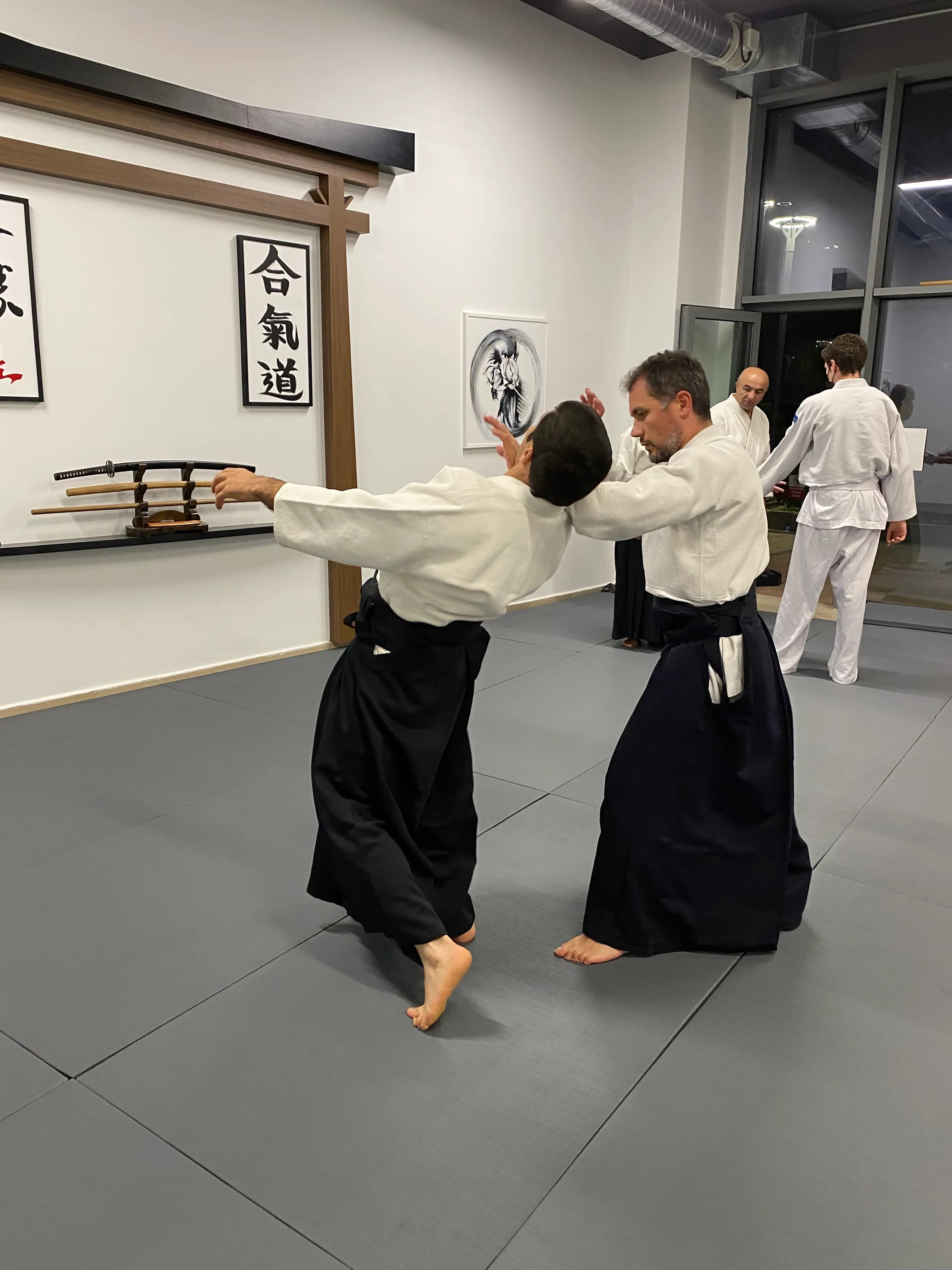 Koho irimi nage tekniği uygulaması